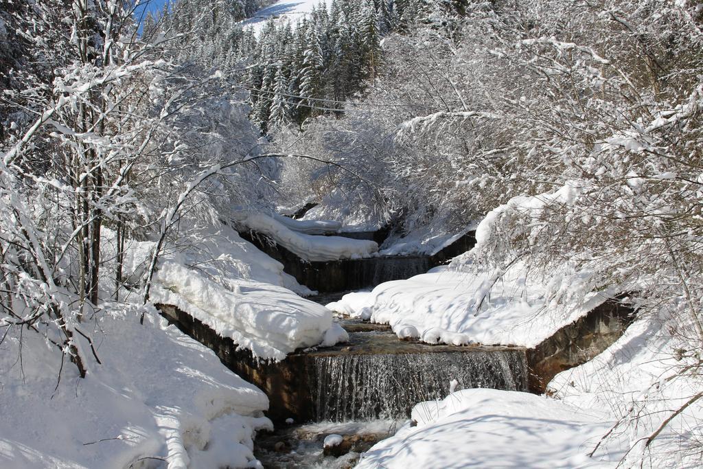 Bad Bergfallerhof Olang Buitenkant foto