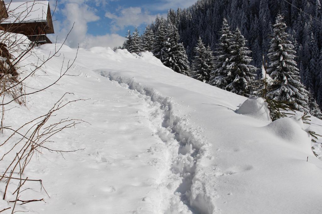 Bad Bergfallerhof Olang Buitenkant foto